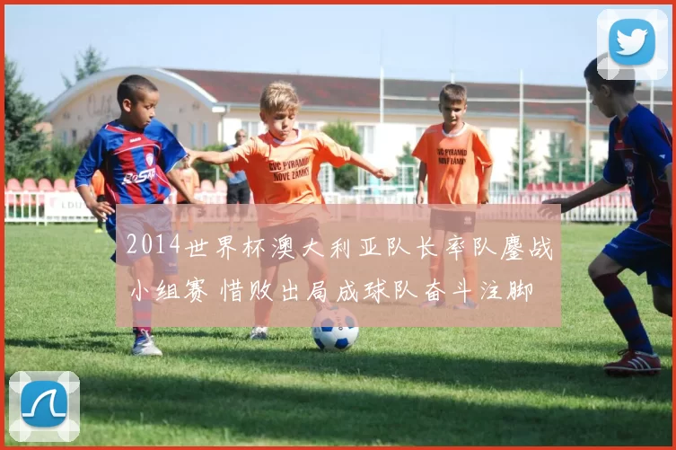 2014世界杯澳大利亚队长率队鏖战小组赛 惜败出局成球队奋斗注脚