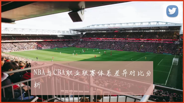NBA与CBA职业联赛体系差异对比分析