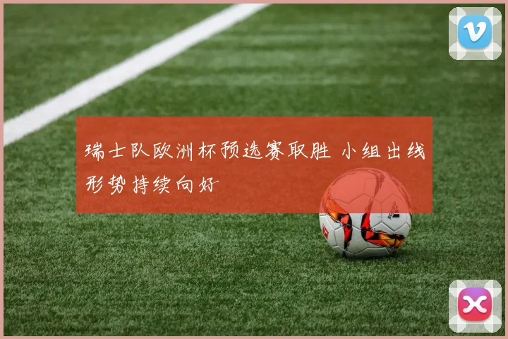 瑞士队欧洲杯预选赛取胜 小组出线形势持续向好